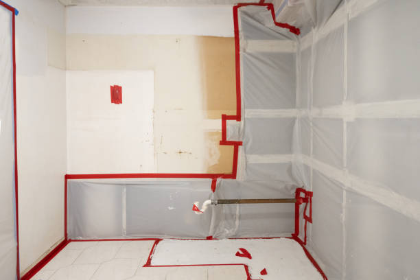 Best Environmental Consulting for Mold Prevention  in Hackensack, NJ